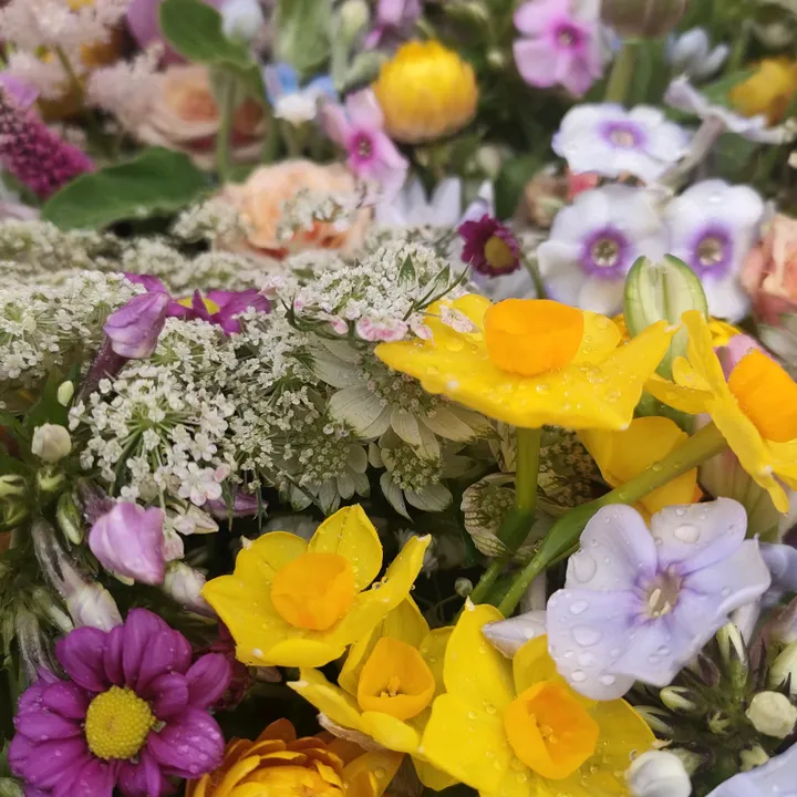 @thegardenshedflorist
