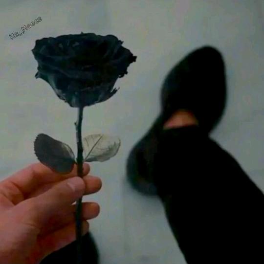 @itx___Moeez. - original sound - itx____moeez
