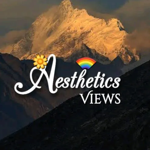 aesthetics.views