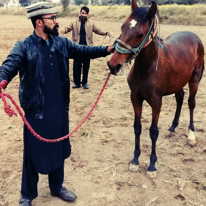 afaqhamdanifaqi
