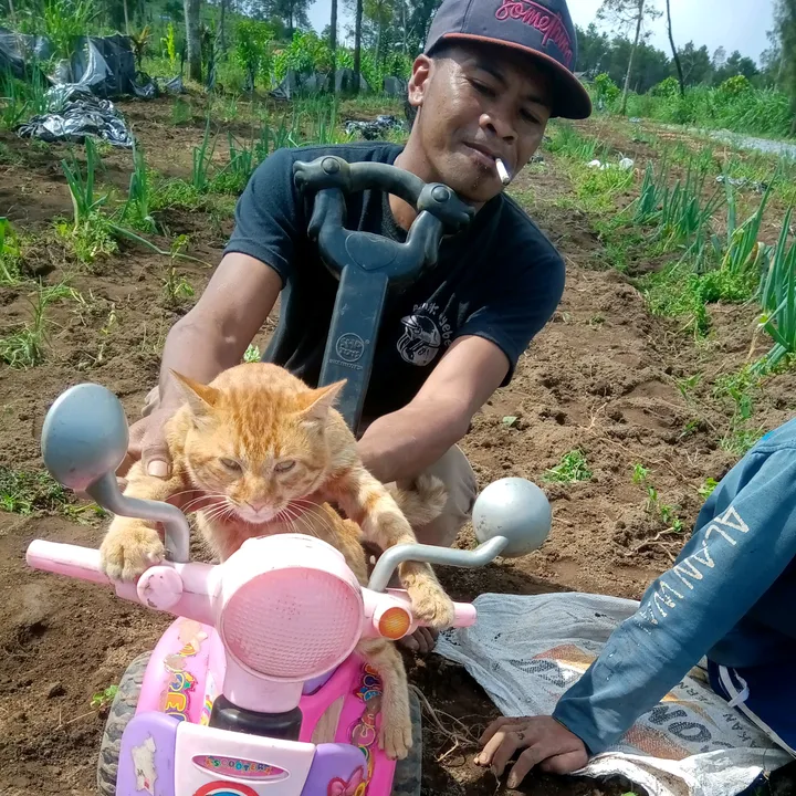 @user4093136336845