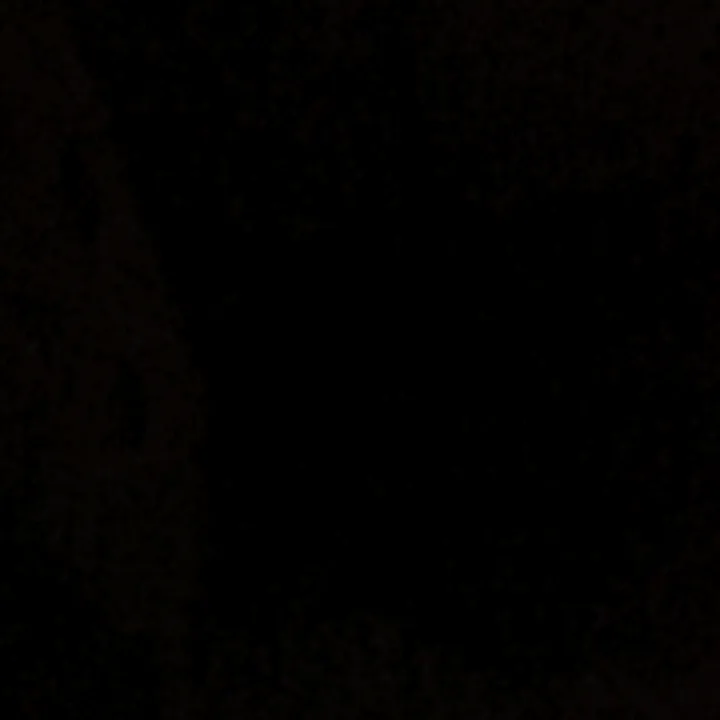 shahkimar00
