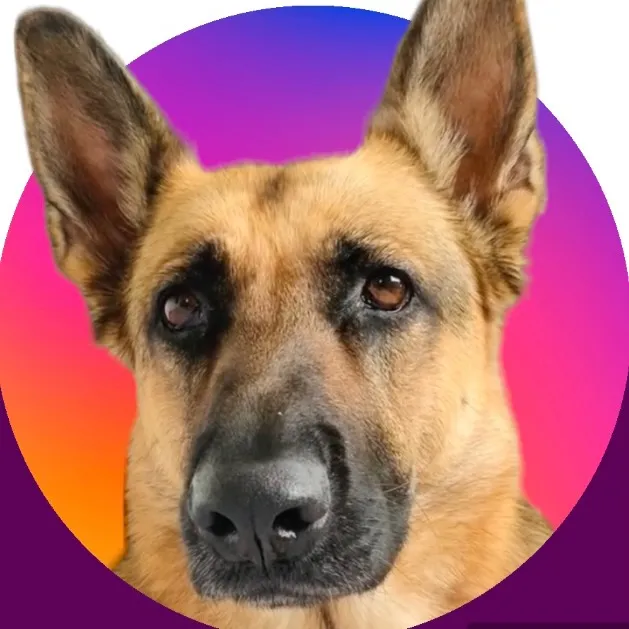 gsdxena