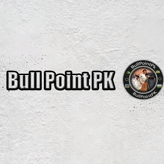 bullpointpk_official