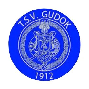 tsvgudok