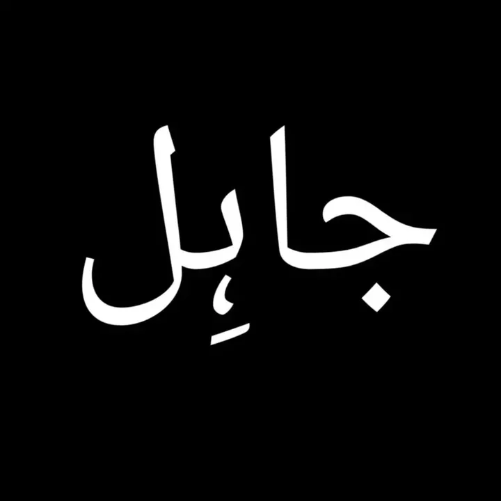 saifi__oye