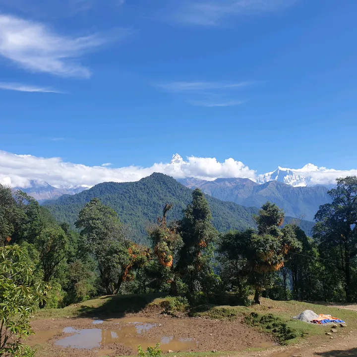 shubhakamana2051