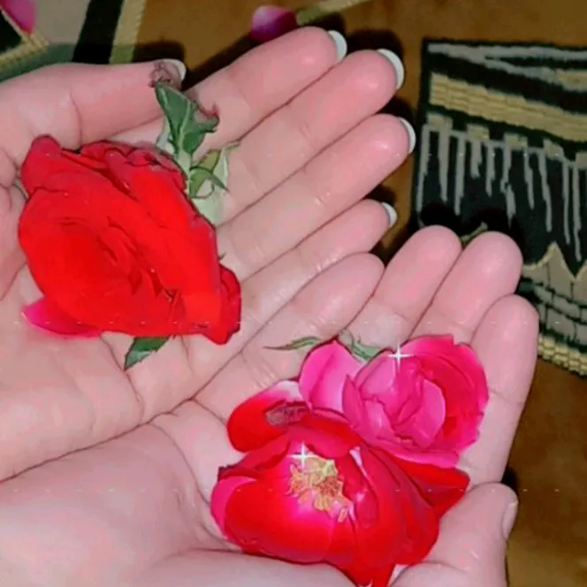 mdmehar44
