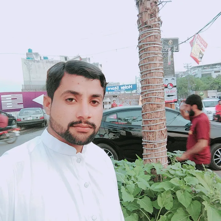 aliraza7544943