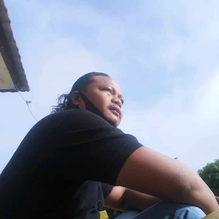 bgkomar6