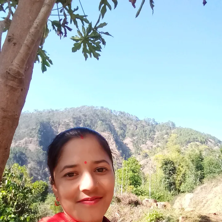 kalpanakhatri389