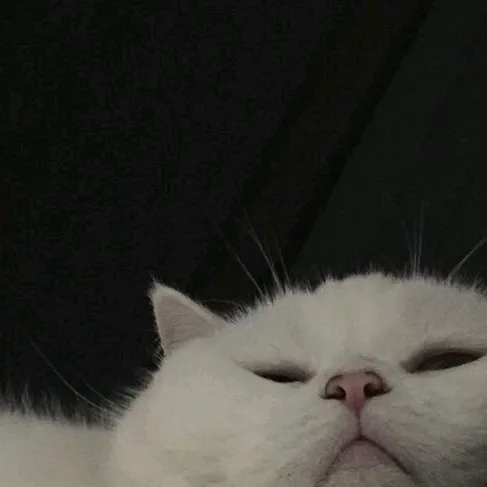 @pyy.jpg