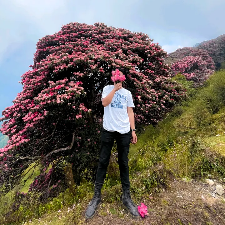 @namhanglimboou1