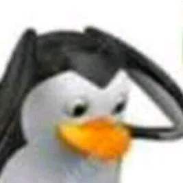 penguinstuck