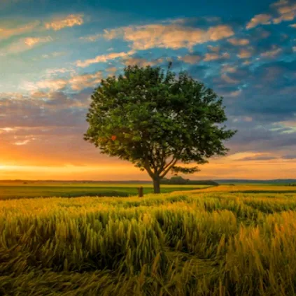 @sansar_bichittra20