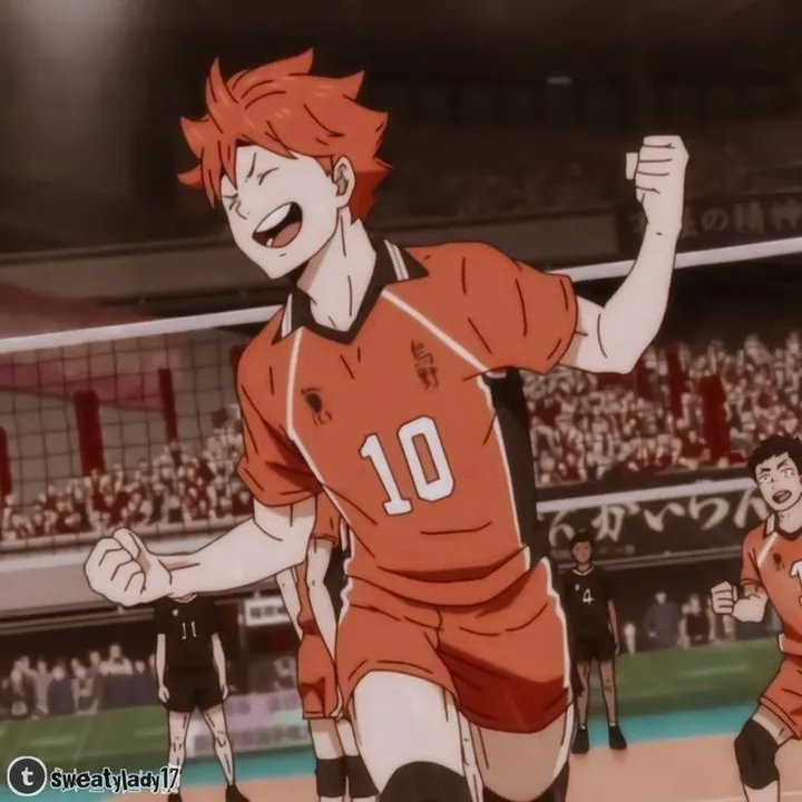 volleyball.srh