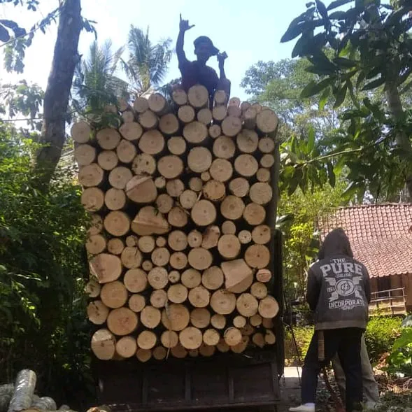 nandriyanto0