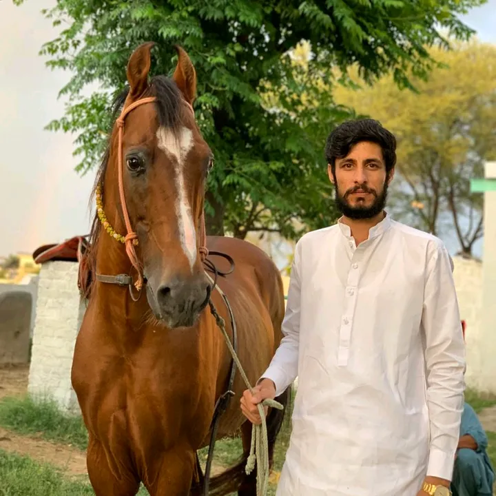 @malikshoaibkhan550