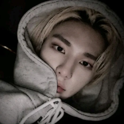 @straykidol_