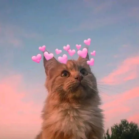 @aesvxge__