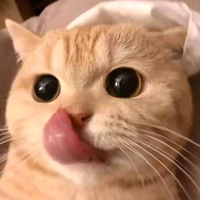 juneharin