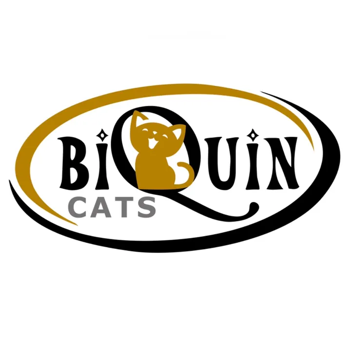 biquin.cats