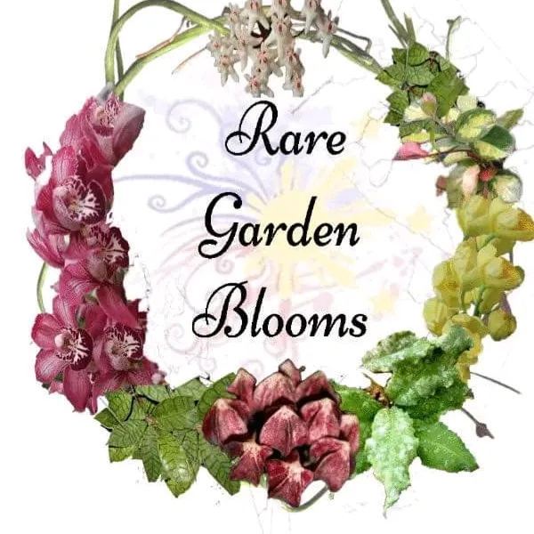 raregardenblooms
