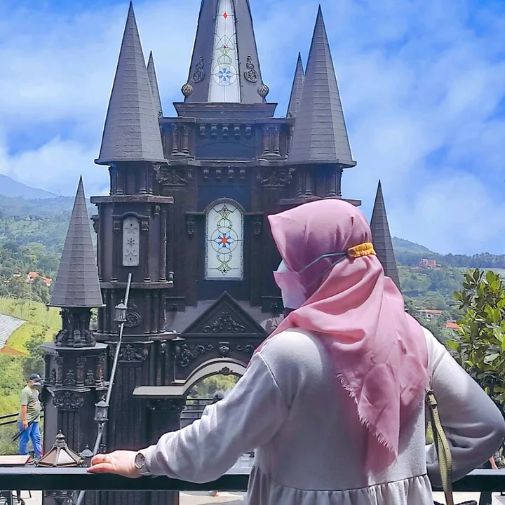 nopi_revo