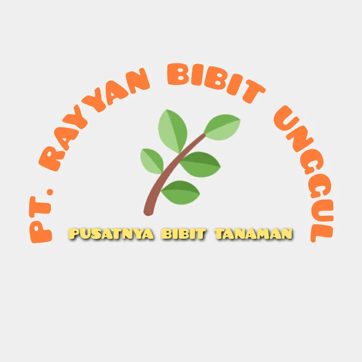 rayyan_bibit