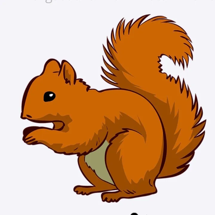 bukandinsabit