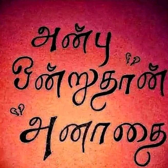 user7260042085203divyan
