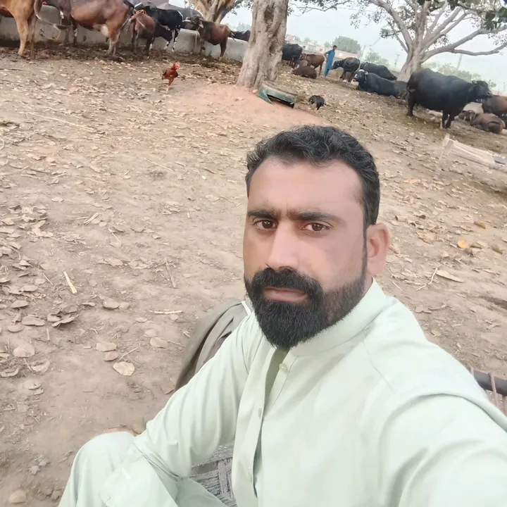 waligujjar514