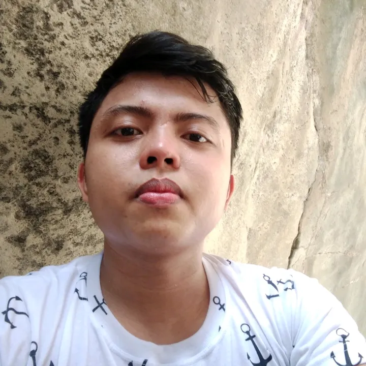 bryanneilsison