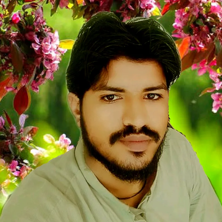zahid_solangi_647