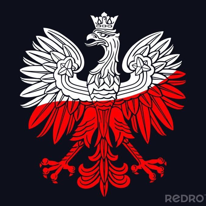 😎🇵🇱OSA🇮🇪😎 - suara asli