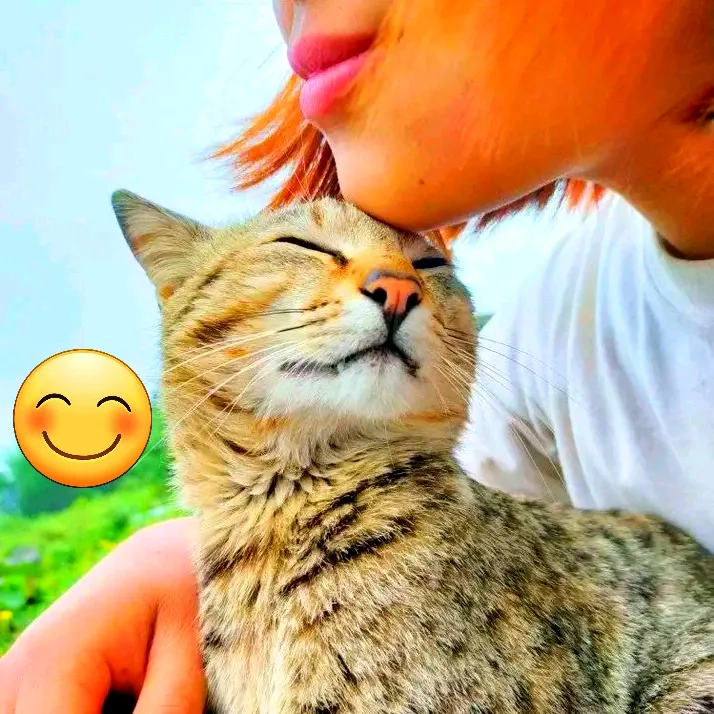 saya__sherpa