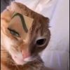 ngbanluncuaban