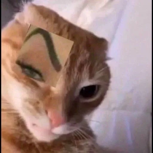 @ngbanluncuaban