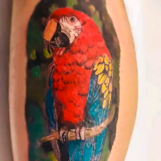 annahajtotattoo