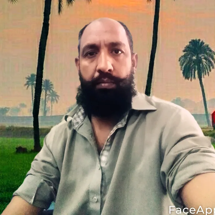 shafaq500