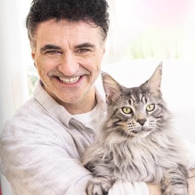 profnoelfitzpatrick - original sound
